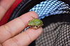 camp30 (261)_thumb.png